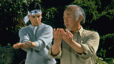 Imagen de Karate Kid III: el desafío final - 10