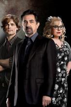 Imagen de Mentes criminales (T14): Ep.11 Luces de noche - 5