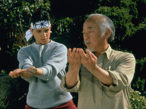 Imagen de Karate Kid III: el desafío final - 8