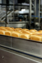 Imagen de Dentro de la fábrica  - 2
