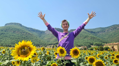 Imagen de Titó (T1): Excursió al camp de girasols - 3
