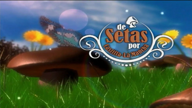 Imagen de De setas por Castilla La Mancha - 3