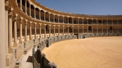 Imagen de Toros - 3