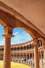 Imagen de Toros - 2