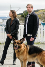 Imagen de Hudson y Rex (T5): Ep.7 Fuga y cita - 3