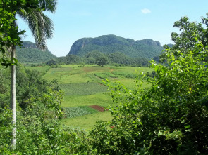 Imagen de Naturalmente - 1