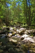 Imagen de Parques naturales - 2