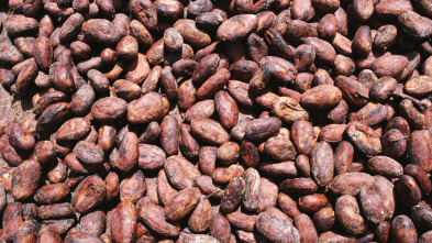 Imagen de Así se hace (T17): Patines de velocidad // Caucho sintético // Granos de cacao // Chocolate - 3