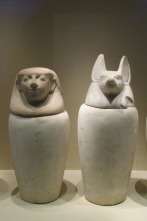 Imagen de Misterios en el museo: El perro de Hollywood y más - 4