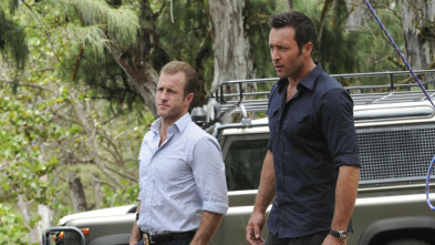 Imagen de Hawai 5.0 - 3