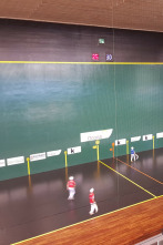 Imagen de Cesta punta - 2