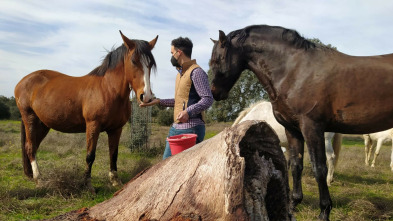 Imagen de Extremadura a caballo - 3