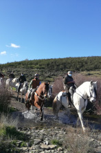 Imagen de Extremadura a caballo - 2