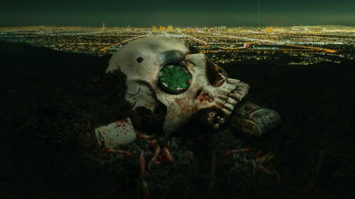 Imagen de CSI: Vegas (T2): Ep.18 Fractura - 6