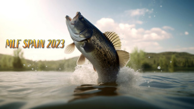 Imagen de Mlf Espana 2023 - 3