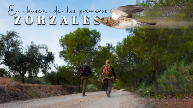Imagen de En busca de los primeros zorzales - 3