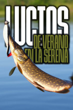 Imagen de Lucios de verano en santillana - 2