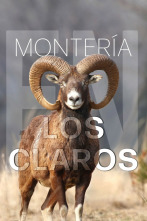Imagen de Montería en los claros - 2