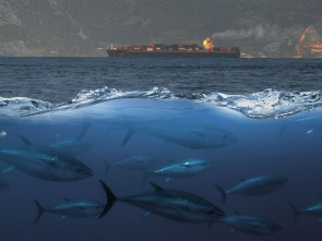 Imagen de Tuna paradise - 1