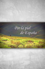 Imagen de Por la piel de España  - 2