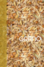 Imagen de Directo al grano - 2