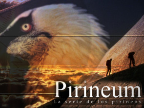 Imagen de Pirineum  - 1