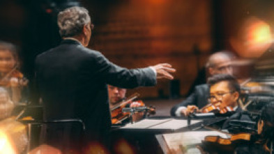 Imagen de Nielsen: Sinfonía n°. 6 - Danish National Symphony Orchestra Fabio Luisi - 12