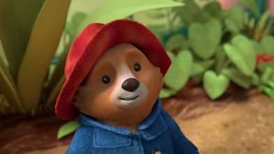 Imagen de Las aventuras de... (T3): Paddington contra las gaviotas / Paddington y el faro - 5
