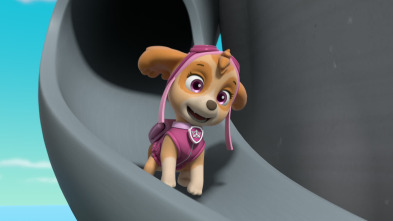 Imagen de La patrulla canina (T10): La patrulla en la selva salva a los animales enormes - 5