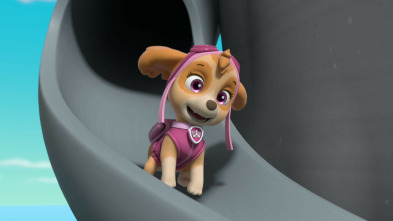 Imagen de La Patrulla Canina (T10): La superpatrulla contra el rayo congelador / La superpatrulla contra la poderosa Cheetah - 5
