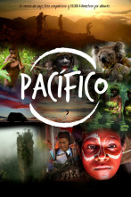 Imagen de Pacífico: Viento entre el bambú - 2