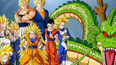 Imagen de Dragon Ball Z Kai (T2): Ep.4 ¡Han secuestrado a un monstruo! ¿El culpable es Great Saiyaman? - 5