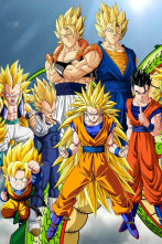 Imagen de Dragon Ball Z Kai (T2): Ep.5 ¡Llega el Torneo de Artes Marciales! Goten muestra su explosivo poder en el entrenamiento - 4