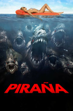 Imagen de Piraña 3D - 6