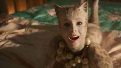 Imagen de Cats - 5