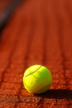 Imagen de Tierra de campeones (2025) - 2