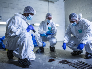 Imagen de El auténtico CSI - 1