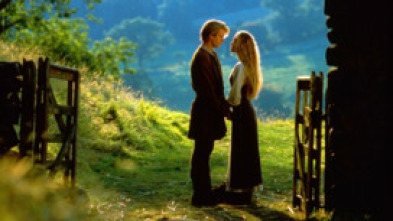 Imagen de La princesa prometida - 12