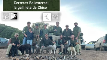 Certeros Ballesteros: La gallineta de Chico