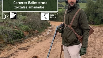 Certeros ballesteros: Zorzales amañados