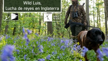 Wild Luis: Lucha de reyes en Inglaterra