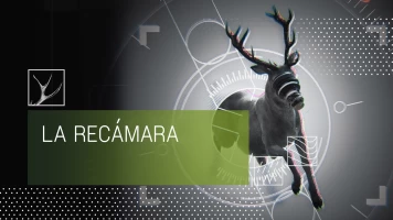 A Câmara