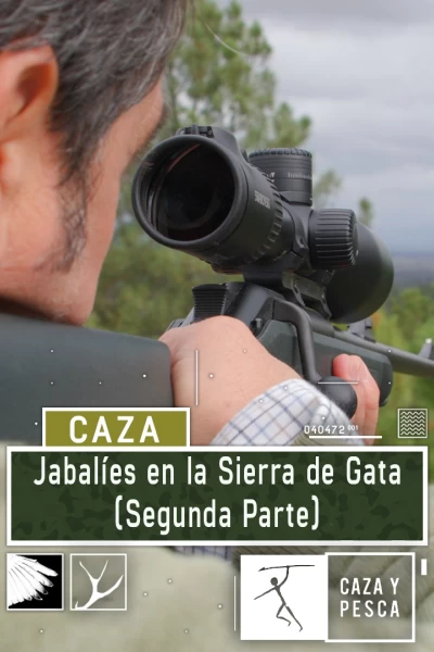 Jabalíes en la sierra de Gata 2º parte