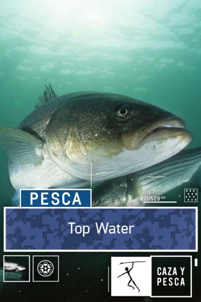 Top water