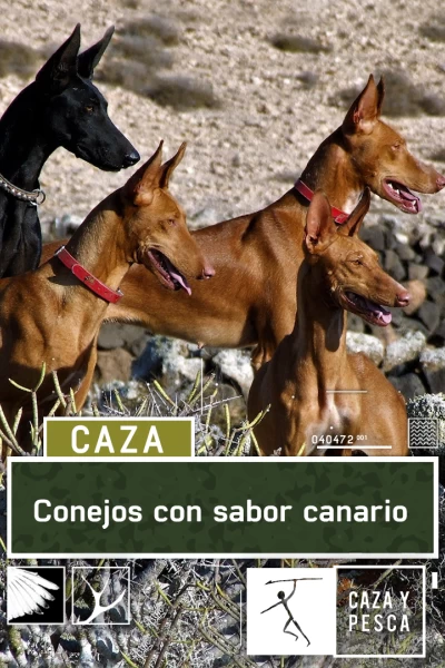 Conejos con sabor canario