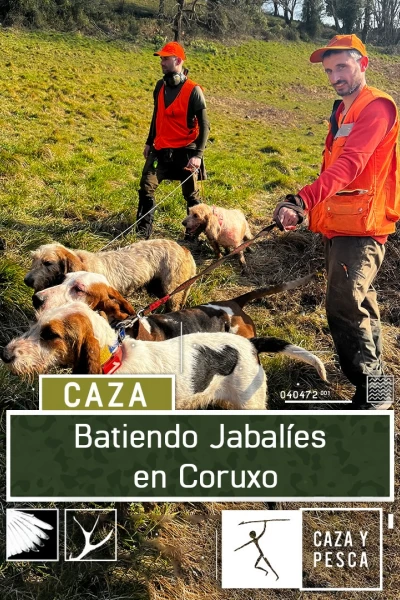 Batiendo jabalies en Coruxo