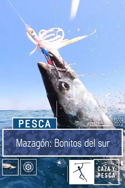 Mazagón: bonitos del Sur