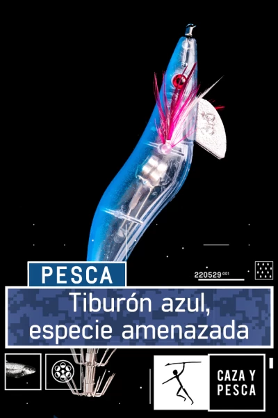 Cefalópodos a Tip Run