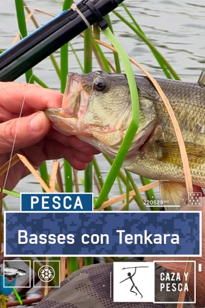 Basses con Tenkara
