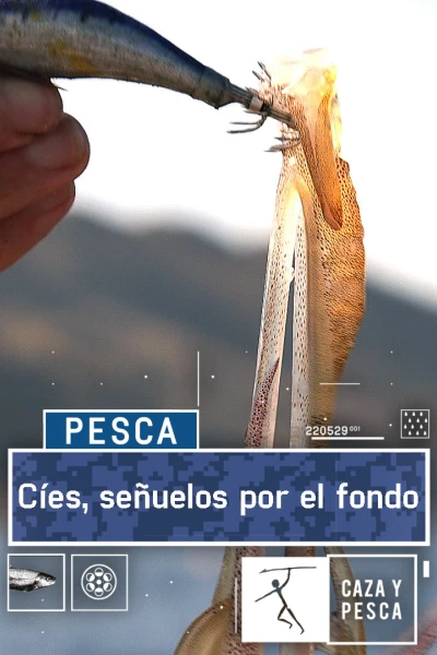 Cíes, señuelos por el fondo